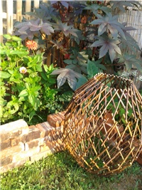 57b3fd8f-2016-07-27 07.39.07.jpg